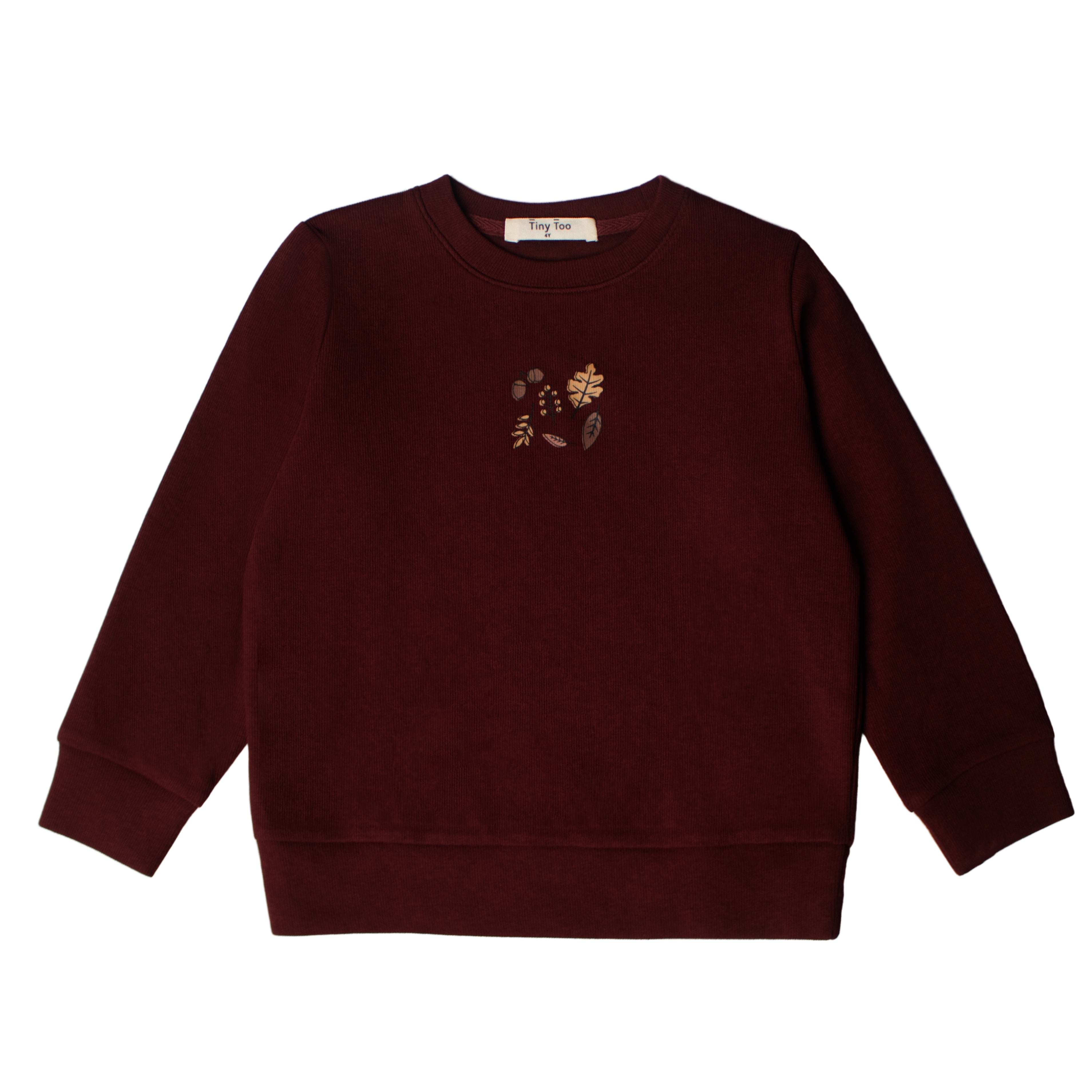 Boys Burgundy Leaf Print Top